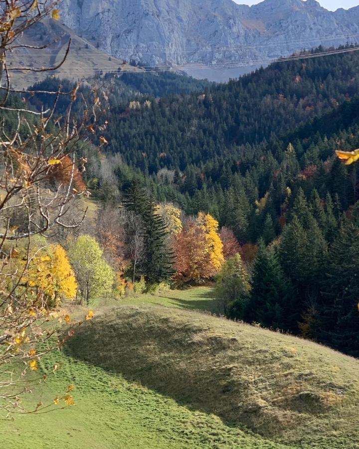 Bel Appart 3* Centre Village Villard-de-Lans Buitenkant foto